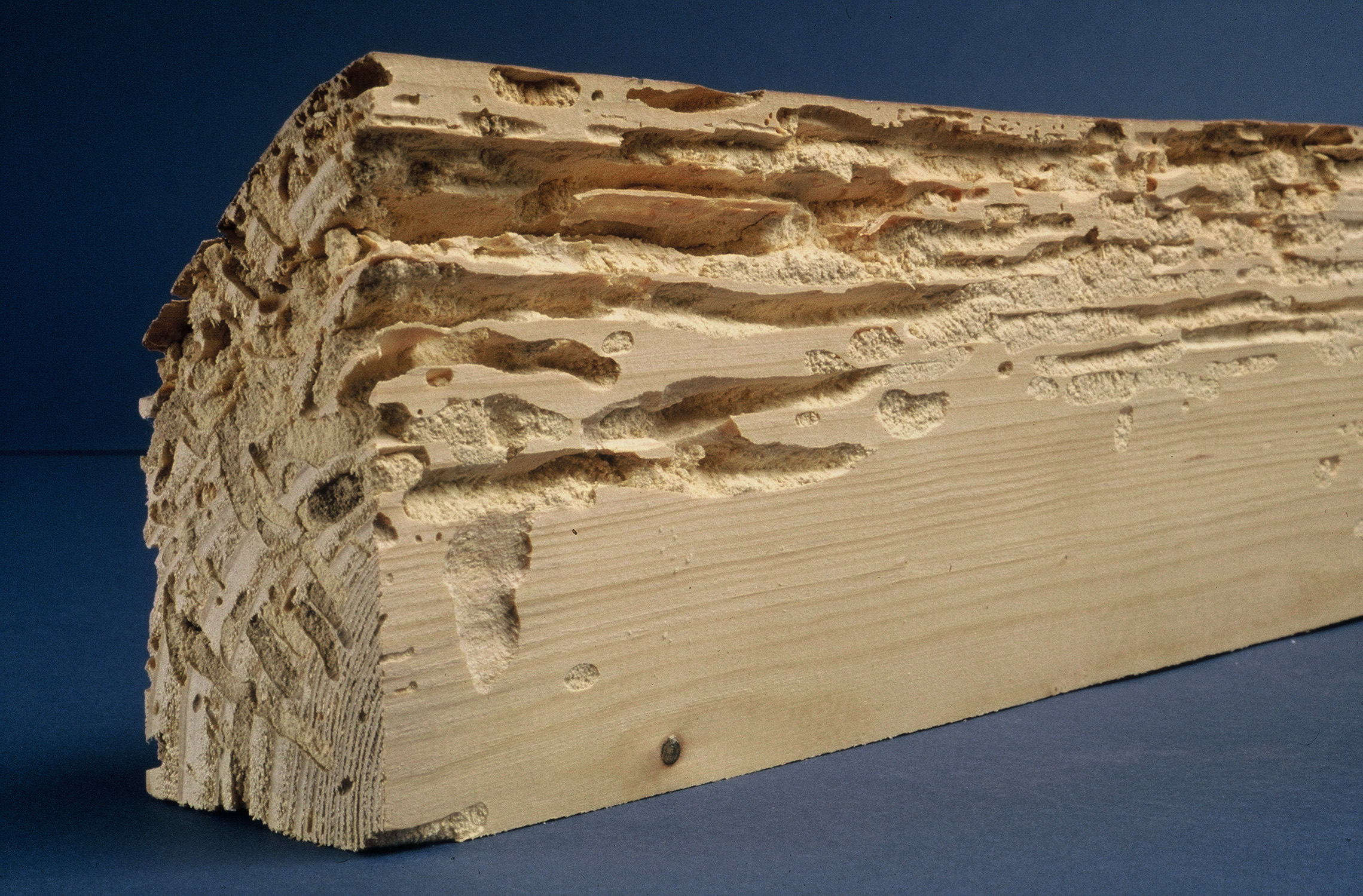 Traitement de charpente, bois à Lavault-de-Frétoy